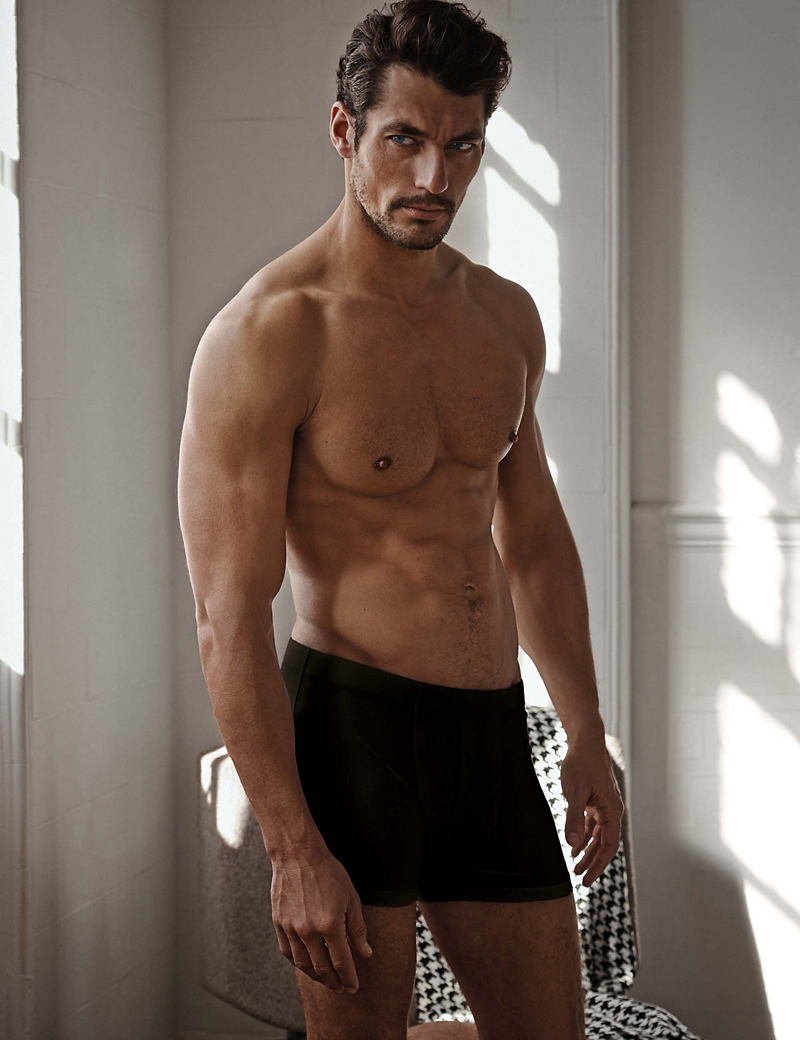 David Gandy for Autograph 2 Pack Supima® Cotton Woven Boxers